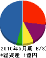 川村装飾 貸借対照表 2010年5月期