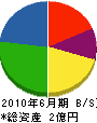 田中造園土木 貸借対照表 2010年6月期