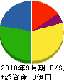 川本 貸借対照表 2010年9月期