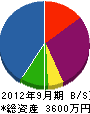 斉藤設備巧建 貸借対照表 2012年9月期