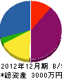 川端電工 貸借対照表 2012年12月期