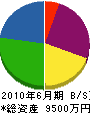 菊池工業 貸借対照表 2010年6月期