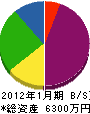 森田塗装工業 貸借対照表 2012年1月期