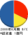 沖縄岩水 貸借対照表 2008年6月期