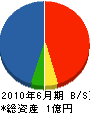 大阪みどり技研 貸借対照表 2010年6月期
