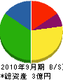 上田屋商会 貸借対照表 2010年9月期