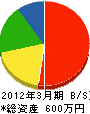 中野設備 貸借対照表 2012年3月期