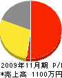 丸濱ワーク 損益計算書 2009年11月期