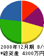 藤田建築 貸借対照表 2008年12月期