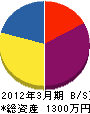 柿山商会 貸借対照表 2012年3月期