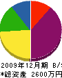 菅野電設 貸借対照表 2009年12月期