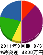 ＊橋総合住設 貸借対照表 2011年9月期