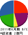 円建創 貸借対照表 2011年6月期