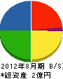 ケイシステムジャパン 貸借対照表 2012年8月期