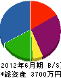 中川塗装 貸借対照表 2012年6月期