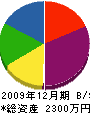 渡邊建設 貸借対照表 2009年12月期