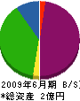 東亜電設 貸借対照表 2009年6月期