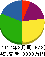 佐藤技研 貸借対照表 2012年9月期