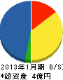 野川ガス住宅設備 貸借対照表 2013年1月期