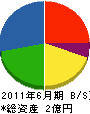 日本海技術コンサルタンツ 貸借対照表 2011年6月期