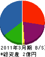 大澤工業 貸借対照表 2011年3月期