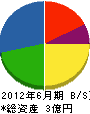 長田組 貸借対照表 2012年6月期