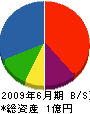 伸誠開発 貸借対照表 2009年6月期