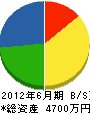愛瀬電機水道 貸借対照表 2012年6月期