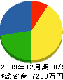 平井設備 貸借対照表 2009年12月期
