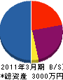 諸藤電気商会 貸借対照表 2011年3月期