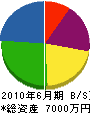 ミヤマ電気 貸借対照表 2010年6月期