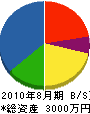 橋本建設 貸借対照表 2010年8月期