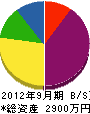 岩田組 貸借対照表 2012年9月期