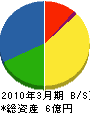 亀屋齊藤商店 貸借対照表 2010年3月期