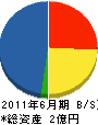 暁 貸借対照表 2011年6月期