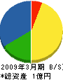 丸幸鈴木建設工業 貸借対照表 2009年3月期