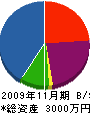 ウエルコーム 貸借対照表 2009年11月期