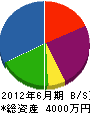藤崎工務店 貸借対照表 2012年6月期