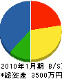 永田硝子 貸借対照表 2010年1月期