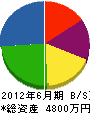 松本設備 貸借対照表 2012年6月期