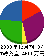 大東綜合防災 貸借対照表 2008年12月期