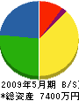 北海道ライン興業 貸借対照表 2009年5月期