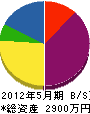 川崎電工 貸借対照表 2012年5月期