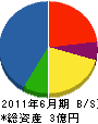 長山工業 貸借対照表 2011年6月期
