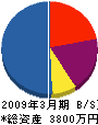 石塚土木 貸借対照表 2009年3月期