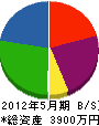三崎バーナー商会 貸借対照表 2012年5月期