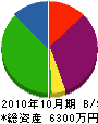 高浜工業 貸借対照表 2010年10月期