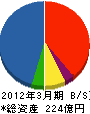 ヤンマーエネルギーシステム 貸借対照表 2012年3月期