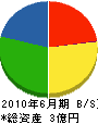 松本産業 貸借対照表 2010年6月期