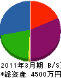 堀口電気商会 貸借対照表 2011年3月期
